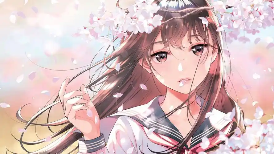 第一影视 banner